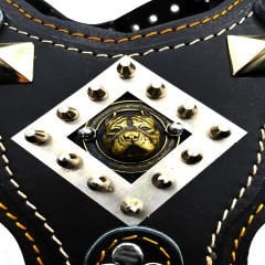 Black ''Titan'' Pitbull Head Leather Dog Harness