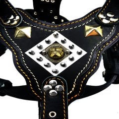 Black ''Titan'' Pitbull Head Leather Dog Harness
