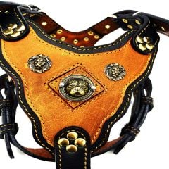 Mustard Pitbull Head Leather Dog Harness