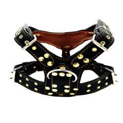 Mustard Pitbull Head Leather Dog Harness