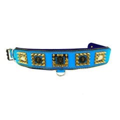 Blue Lion Head Exclusive Leather Dog Collar