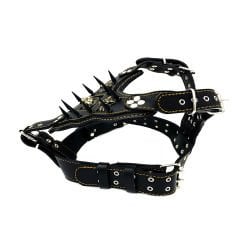 Spiked Pitbull Dog Harness