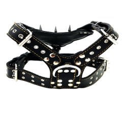 Spiked Pitbull Dog Harness