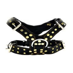Black ''Nemean'' Lion Leather Dog Collar