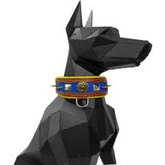 Brown-Dark Blue ''Hercules'' Spiked Leather Dog Collar