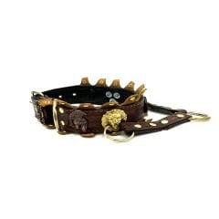 Brown ''Ancient'' Lion Ring Leather Dog Collar