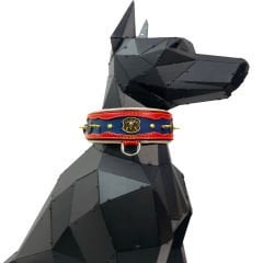 Red-Navy Blue The ''Viking'' Spiked Dog Collar