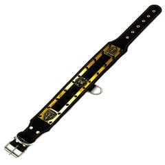 American Bully ''Spartan'' Spiked Leather Dog Collar