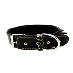 American Bully ''Spartan'' Spiked Leather Dog Collar