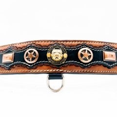 American Bully ''Destroyer'' Dog Collar