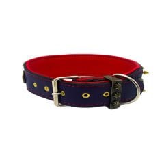 Yellow-Red ''ABKC'' Leather Dog Collar
