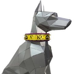 Yellow-Red ''ABKC'' Leather Dog Collar