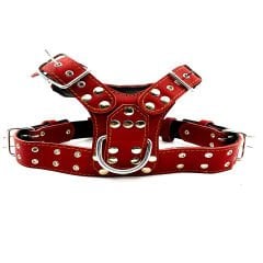 Red ''Prometheus'' Leather Dog Harness