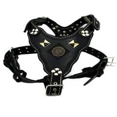 Black ''Bitcoin'' Leather Dog Harness