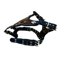Brown-Navy Blue '' Ancient Rome'' Dog Harness