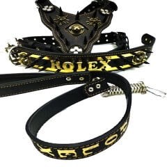 Personalized - Custom Dog Collar Sets