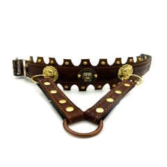 Brown Ancient Design American Bully Head Handmade Leather Dog Collar