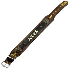 Personalized Dog Collar With Name & Number