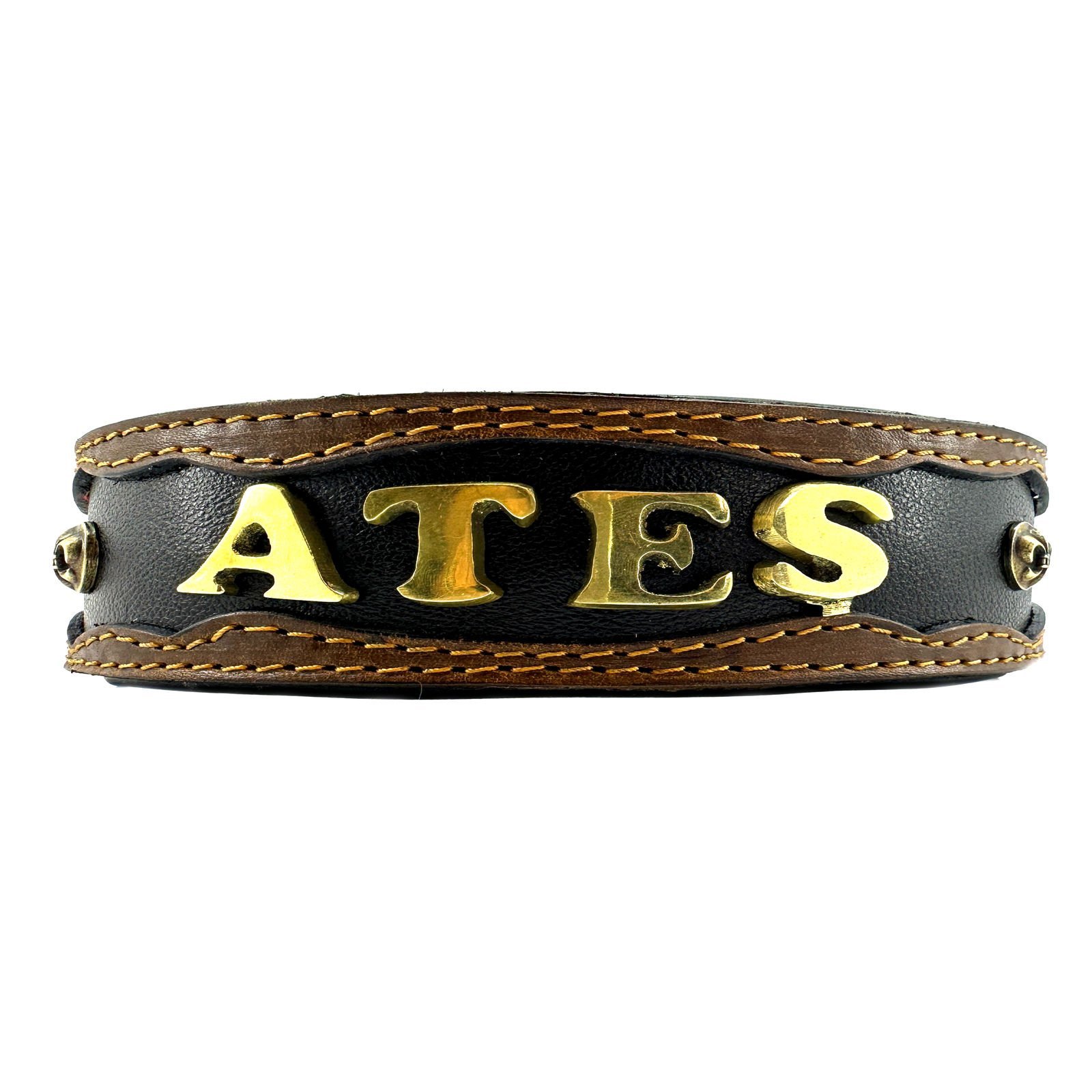 Personalized Dog Collar With Name & Number