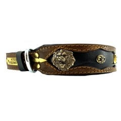 Personalized Dog Collar With Name & Number