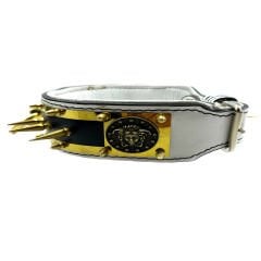Special Design Spiked Medusa Dog Collar