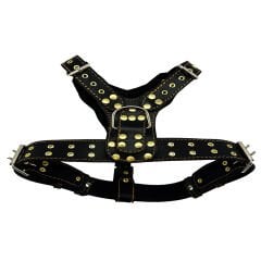 Luxury Personalized Dog Harness With Name