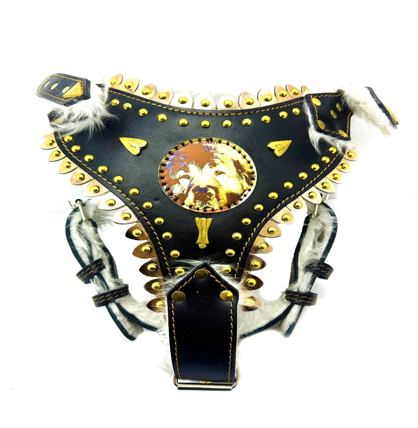 Personalized Dog Harness With Picture