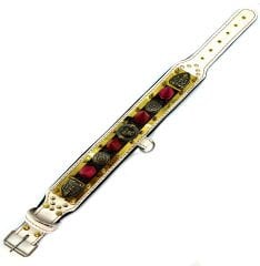 American Bully Studded Dog Collar