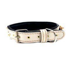 American Bully Studded Dog Collar