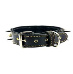 Luxury Personalized Dog Collar With Name