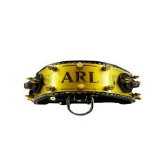 Luxury Personalized Dog Collar With Name