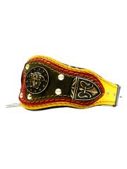 Lion Special Design Luxury Dog Collar